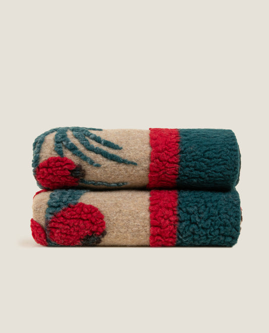 Plaid in lana cotta merinos 4 colori