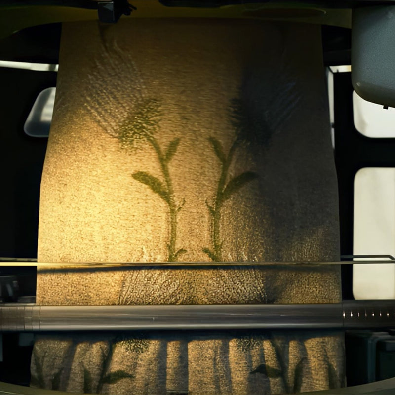 La nascita di Alta Bassa